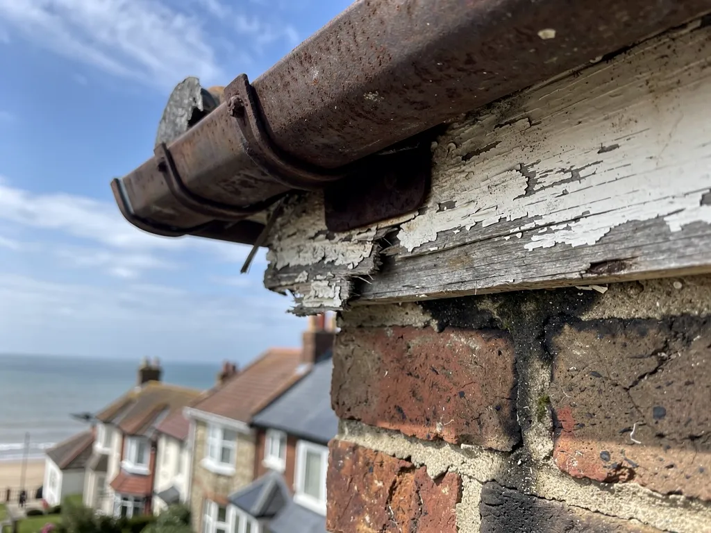 Rotten painted timber fascia with peeling paint and a gutter coming away