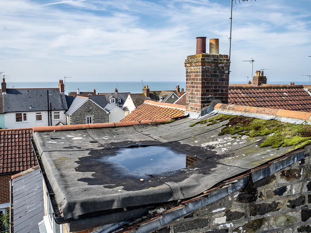 Old flat roof with standing water, cracked felt and moss